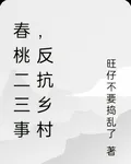 春桃二三事，反抗鄉村 封面