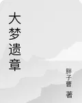 大夢遺章 封面