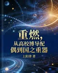 重燃，從高校博導配偶到國之重器 封面