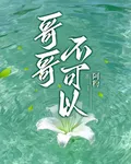 哥哥，不可以 封面