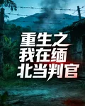 重生之我在緬北當判官 封面