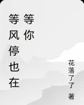 等風停也在等你 封面
