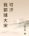 我郭靖大宋可汗 封面