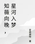 知薇向晚，星河入夢 封面