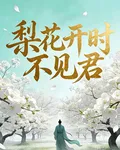 梨花開時不見君 封面