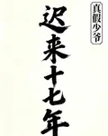 遲來十七年 封面
