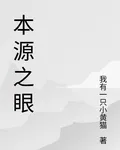本源之眼 封面