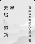 天啓：超新星 封面