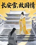 長安雪，故國情 封面