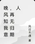 晚風知我意，再無歸期人 封面
