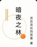 暗夜之林 封面