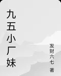 九五小廠妹 封面