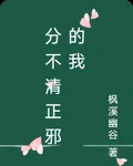 分不清正邪的我 封面
