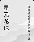 星元龍珠 封面