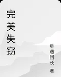 完美失竊 封面