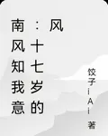 南風知我意：十七歲的風 封面
