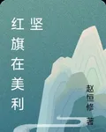 紅旗在美利堅 封面
