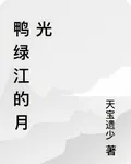 鴨綠江的月光 封面