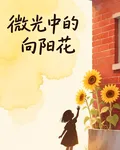微光中的向陽花 封面