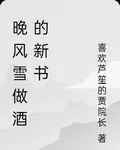 晚風雪做酒的新書 封面