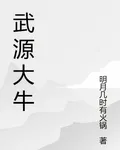 武源大牛 封面