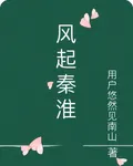 風起秦淮 封面