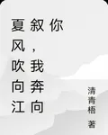 夏風吹向江敘，我奔向你 封面
