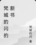 梵城的閃的新書 封面