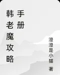 韓老魔攻略手冊 封面