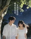 晚風知我意，星落赴你程 封面