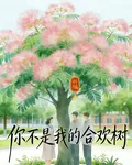 你不是我的合歡樹 封面