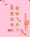 我靠撿來的破鍾飛昇了 封面