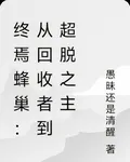 終焉蜂巢：從回收者到超脫之主 封面