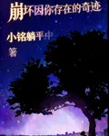 崩壞：因你存在的奇蹟 封面