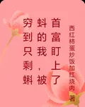 窮到只剩蝌蚪的我，被首富盯上了 封面
