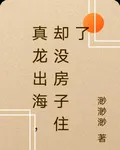 真龍出海，卻沒房子住了 封面