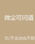微塵可問道 封面