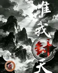 唯我封天 封面