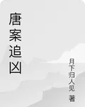 唐案追兇 封面
