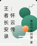 王者長安錄：懷雲傳 封面