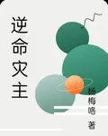 逆命災主 封面