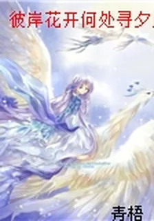 彼岸花開何處尋夕顏獨孤焚 封面