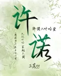 許，諾 封面