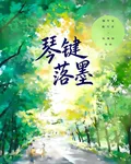 琴鍵落墨 封面