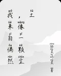 我來自偶然，像一顆塵土 封面