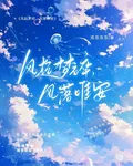 風起夢碎，風落唯安 封面