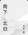 南下，北歸 封面