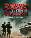 交叉火線：不滅編隊 封面