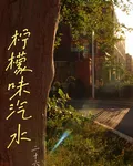 檸檬味汽水 封面