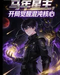 馬年星主，開局覺醒混沌核心 封面